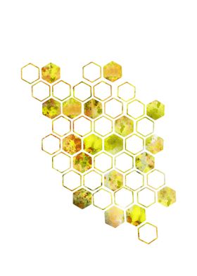 Honeycomb 