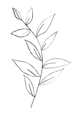 Beautiful Botanicals-preview-2