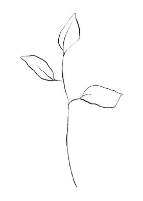 Beautiful Botanicals-preview-0