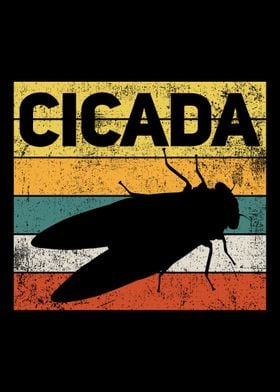 Cicada Insect Vintage