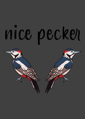 Nice Pecker Funny Bird