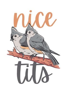 Nice Tits Tufted Titmouse