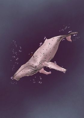 Whale Giant