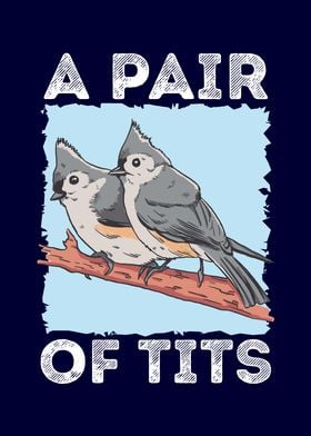 A Pair of tits bird