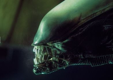 Alien`s Teeth