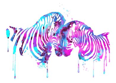 Zebra in love 