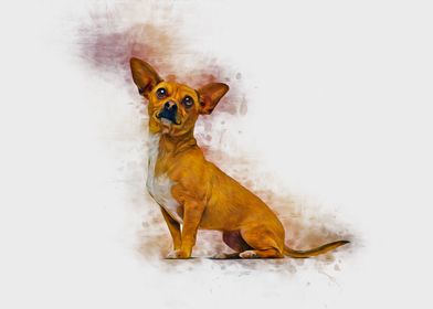 Chihuahua Art
