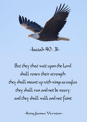 BIBLE VERSE ISAIAH 40 31