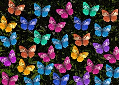 Colorful Butterflies