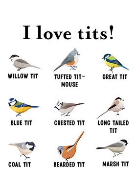 Funny I love tits Bird