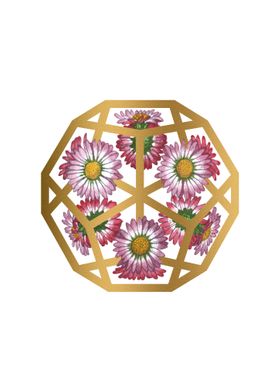 Daisies in Dodecahedron