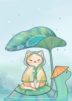 Cat in raining day