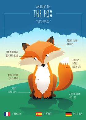 Anatomy of a Fox