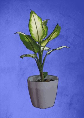 Potted green plant 