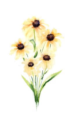 Blackeyed Susans