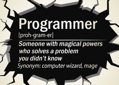 programmer definition