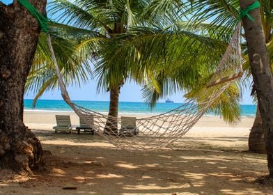 Beach hammock