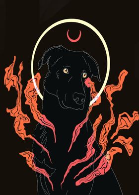 Red moon dog