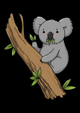 Koala Bear Koalas