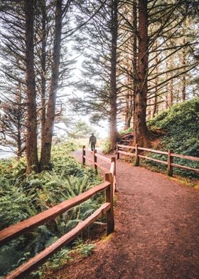 Hiking in the Fog PNW