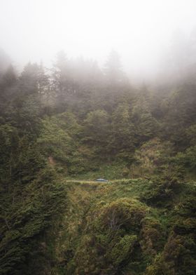 Fog on the Oregon Coast