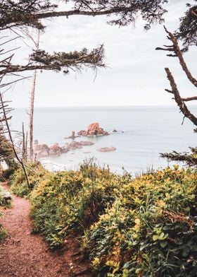 Oregon Coast Cliff Views