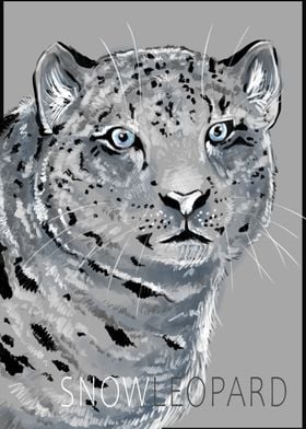 Snow Leopard