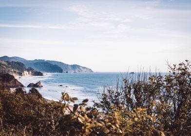 Oregon Coast Landscape