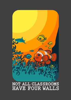 Not All Classrooms Have