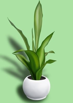 Office Plant