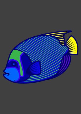 Marine Angelfish Aquarium