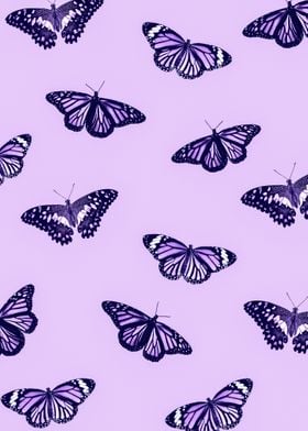 Purple Butterflies