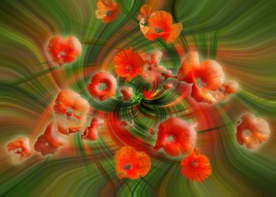 red poppies twirl 4