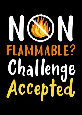 NonFlammable Challenge