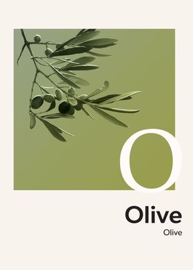 Color Alphabet Olive O
