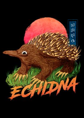 Echidna Black