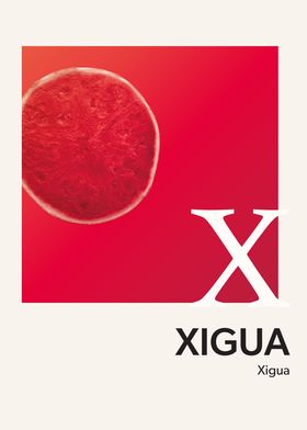 Color Alphabet Xigua X