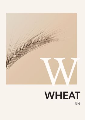 Color Alphabet Wheat Bl