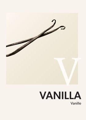 Color Alphabet Vanilla V