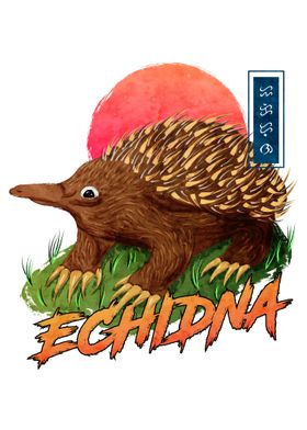 Echidna White