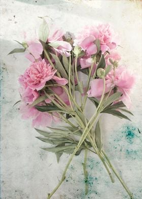 Pink peonies 11