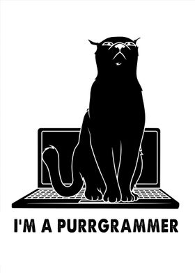 Programmer Cat