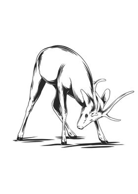 deer 6