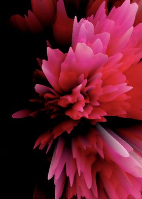 Abstract peony bouquet