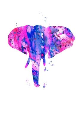 Elephant 