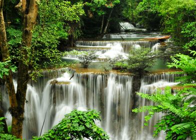 Waterfall Forest Nature