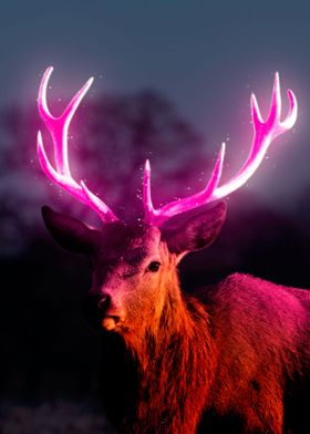 Deer Glow