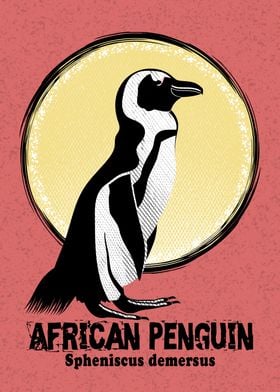 African Penguin