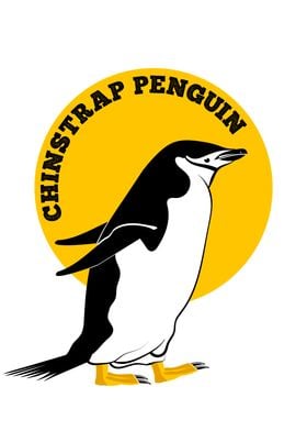 Chinstrap Penguin