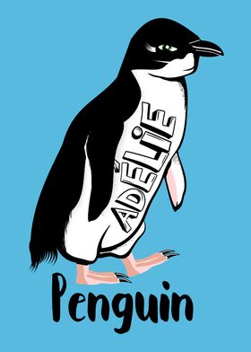 Adelie Penguin